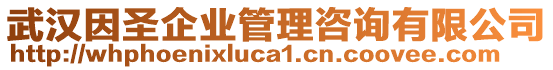 武漢因圣企業(yè)管理咨詢有限公司