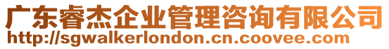 廣東睿杰企業(yè)管理咨詢有限公司
