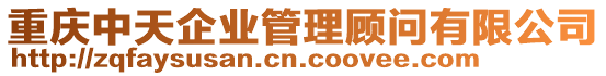 重慶中天企業(yè)管理顧問有限公司