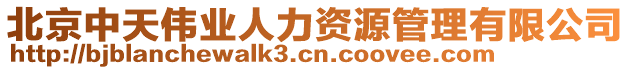 北京中天偉業(yè)人力資源管理有限公司