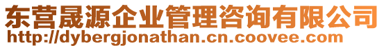 東營晟源企業(yè)管理咨詢有限公司