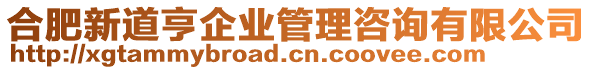 合肥新道亨企業管理咨詢有限公司