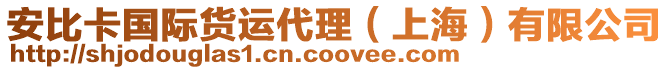 安比卡國(guó)際貨運(yùn)代理（上海）有限公司