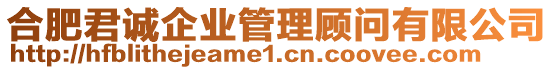 合肥君誠企業(yè)管理顧問有限公司