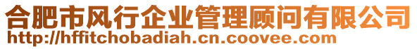 合肥市風行企業(yè)管理顧問有限公司