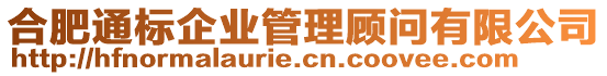 合肥通標(biāo)企業(yè)管理顧問有限公司