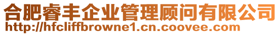 合肥睿豐企業(yè)管理顧問有限公司