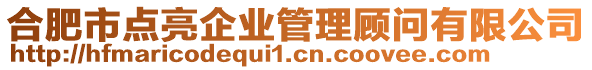 合肥市點亮企業(yè)管理顧問有限公司