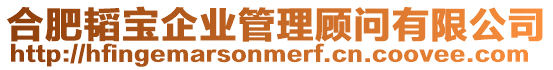 合肥韜寶企業(yè)管理顧問有限公司