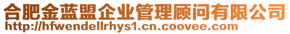 合肥金藍盟企業(yè)管理顧問有限公司