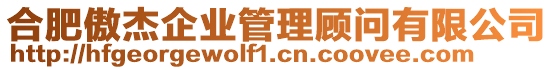 合肥傲杰企業(yè)管理顧問有限公司