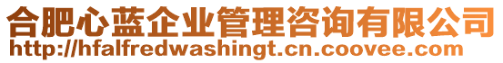 合肥心藍(lán)企業(yè)管理咨詢有限公司