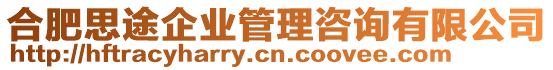 合肥思途企業(yè)管理咨詢有限公司