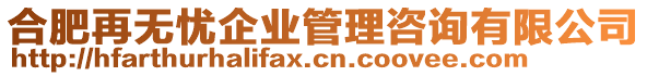 合肥再無憂企業(yè)管理咨詢有限公司