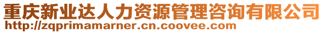 重慶新業(yè)達(dá)人力資源管理咨詢有限公司