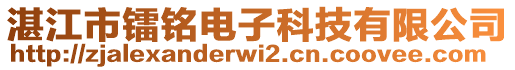 湛江市鐳銘電子科技有限公司