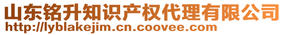 山東銘升知識(shí)產(chǎn)權(quán)代理有限公司