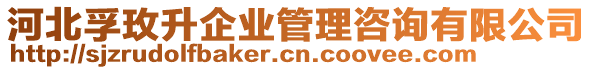 河北孚玫升企業(yè)管理咨詢有限公司