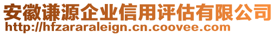 安徽謙源企業(yè)信用評估有限公司