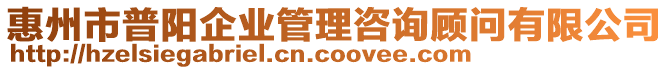 惠州市普陽企業(yè)管理咨詢顧問有限公司