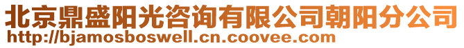 北京鼎盛陽光咨詢有限公司朝陽分公司