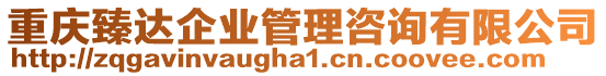 重慶臻達企業(yè)管理咨詢有限公司