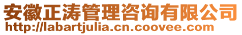 安徽正濤管理咨詢(xún)有限公司