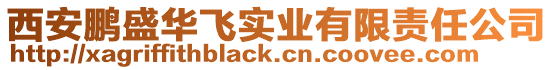 西安鵬盛華飛實業有限責任公司
