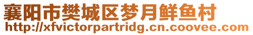 襄陽市樊城區(qū)夢月鮮魚村