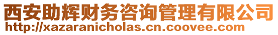 西安助輝財務咨詢管理有限公司