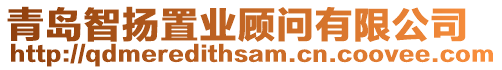 青島智揚置業顧問有限公司