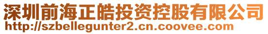 深圳前海正皓投資控股有限公司