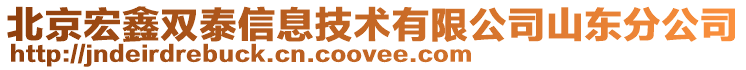 北京宏鑫雙泰信息技術(shù)有限公司山東分公司