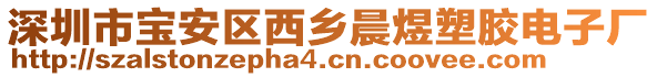 深圳市寶安區(qū)西鄉(xiāng)晨煜塑膠電子廠