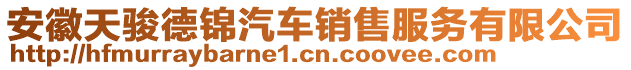 安徽天駿德錦汽車銷售服務(wù)有限公司