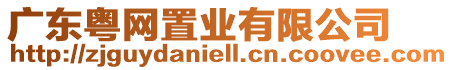 廣東粵網(wǎng)置業(yè)有限公司