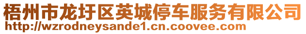 梧州市龍圩區英城停車服務有限公司