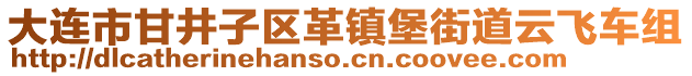 大連市甘井子區(qū)革鎮(zhèn)堡街道云飛車組