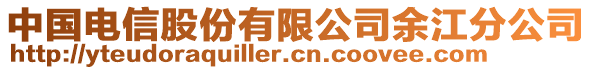 中國電信股份有限公司余江分公司