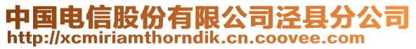 中國電信股份有限公司涇縣分公司