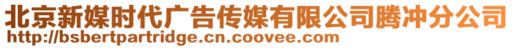 北京新媒時代廣告?zhèn)髅接邢薰掘v沖分公司