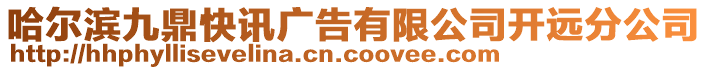 哈爾濱九鼎快訊廣告有限公司開遠分公司