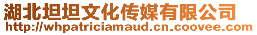 湖北坦坦文化傳媒有限公司
