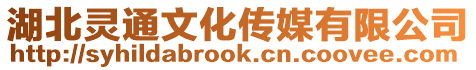湖北靈通文化傳媒有限公司