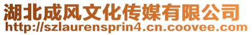 湖北成風文化傳媒有限公司
