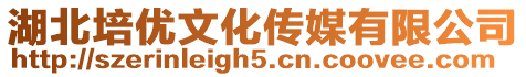 湖北培優(yōu)文化傳媒有限公司