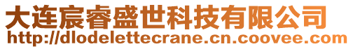 大連宸睿盛世科技有限公司