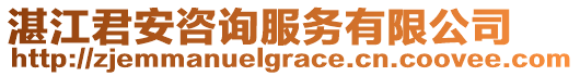 湛江君安咨詢服務(wù)有限公司