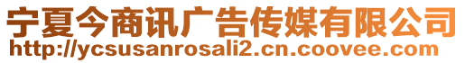 寧夏今商訊廣告?zhèn)髅接邢薰? style=