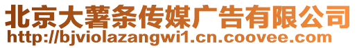 北京大薯條傳媒廣告有限公司